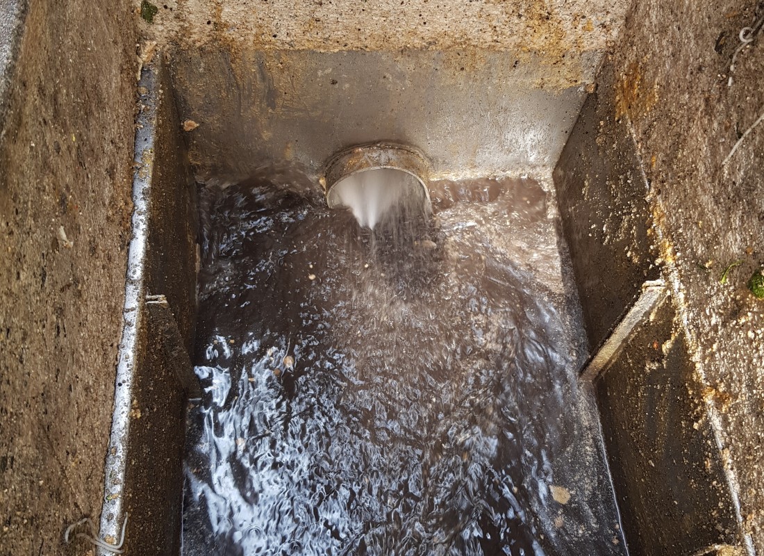 3695750758_0eowqMsI_eb8fb63180f65cd75b6200e8eab716abb899ca3e.jpeg 이미지크게보기