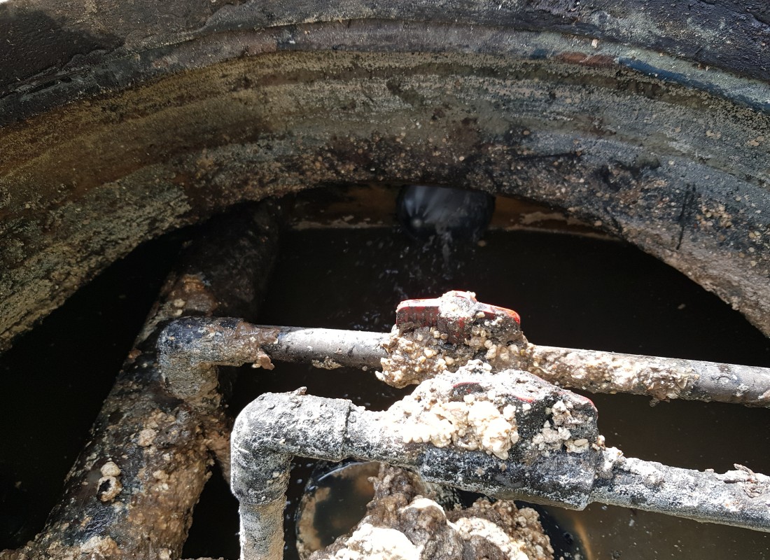 3695750758_0ig1BtaH_44c75b6bcee1399bc6d92c72b38b25c4bcfb60f0.jpeg 이미지크게보기