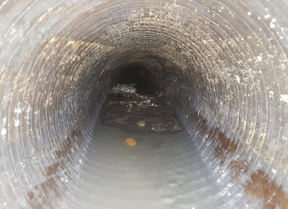 3695750758_5Va2fK1i_08c8e28363ee85972effde5bd4b63ea65f2dc868.jpeg 이미지크게보기