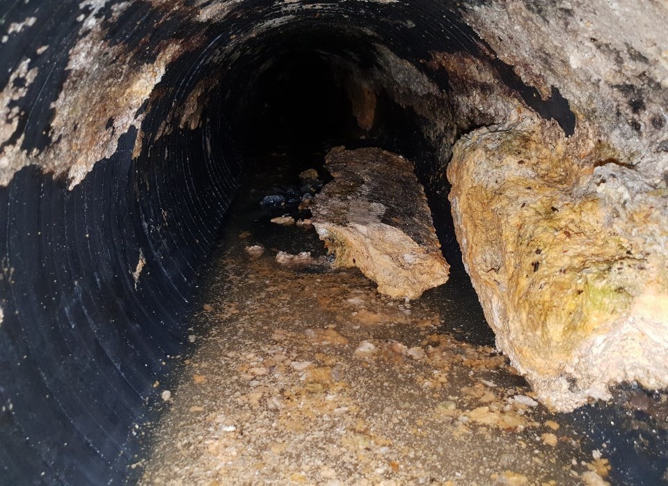 3695750758_EOcmYX8g_121bbe212ef94833f70101e43f7b50d63a6f31fb.jpeg 이미지크게보기