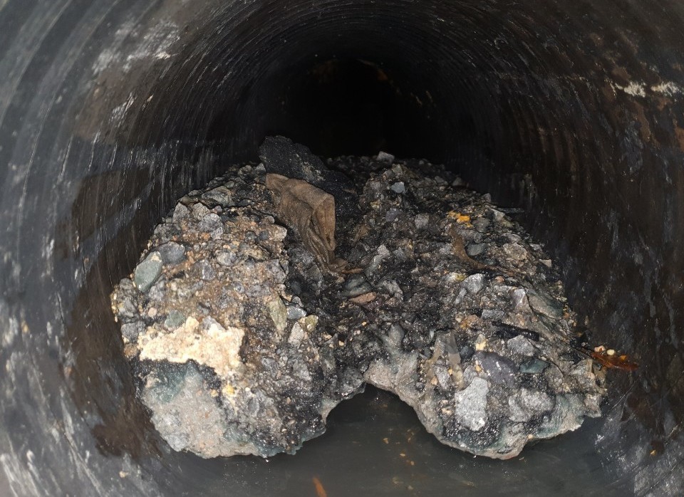 3695750758_GSf0WEFx_885a39be6f462fb66f193cf54923cacf40266d03.jpeg 이미지크게보기