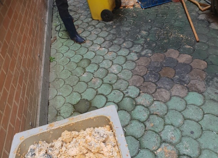 3695750758_TadtXi7F_cd35de60f3d83cb794a9b610410ec8bb3affcebf.jpeg 이미지크게보기