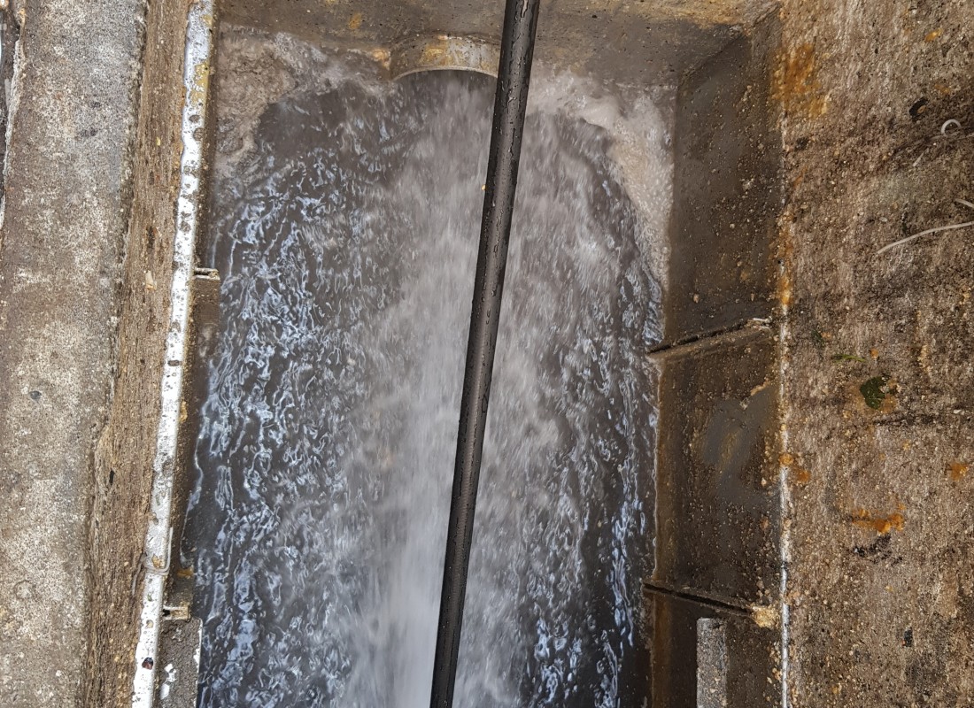 3695750758_Z2WjRrQG_cececb6a938a7a68595ddb6e5f22b84c632bae53.jpeg 이미지크게보기