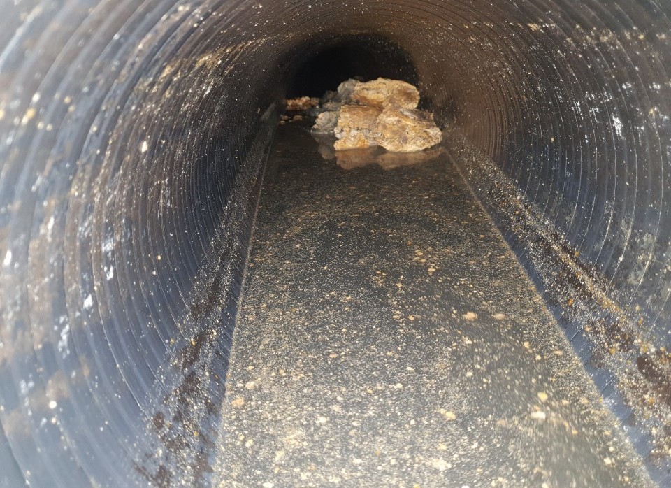 3695750758_ftFbLYix_75f679d2dc5a762beb62e81d2c9907a694aba288.jpeg 이미지크게보기