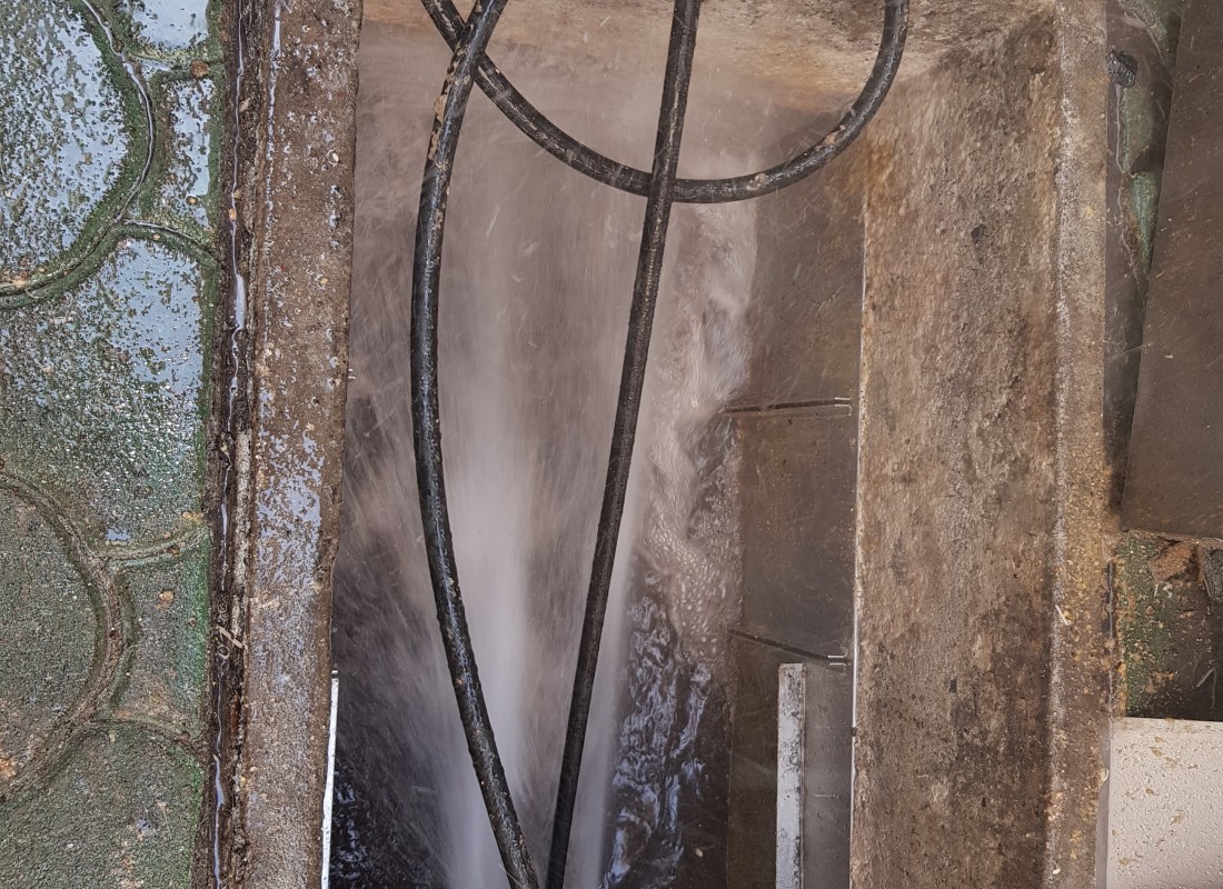 3695750758_iFaSfWcv_b4a0669f6685eec1d7c02175eab1626a1478ddc1.jpeg 이미지크게보기