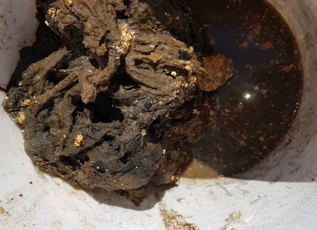 3695750758_t96w7bDu_174c464f87ba9521ad9dc89da95423bcbefb9334.jpeg 이미지크게보기