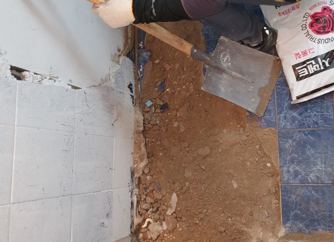 3695750758_0YDpJXSv_ddbbc8ed2e09a9503c4c38d4531486f0caf50487.jpeg 이미지크게보기