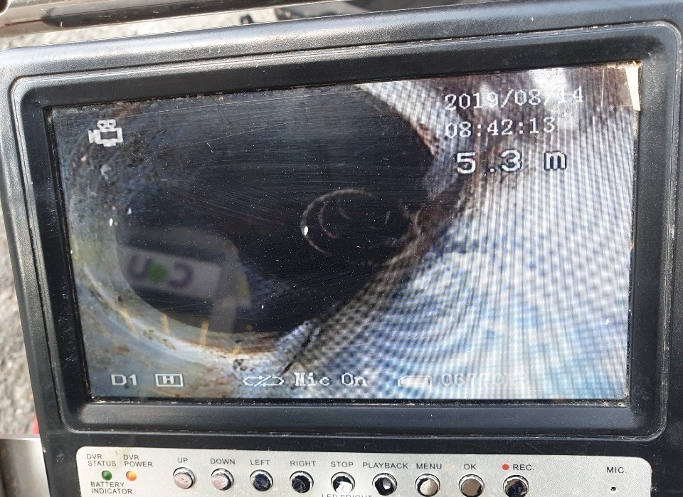 3695750758_HUdw56gm_fdb03f5cfd5ad57b75a2ec8012f21153c32c1ff5.jpeg 이미지크게보기