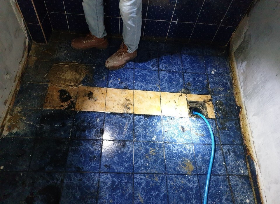 3695750758_Hvbg3PsA_84e46be1cfcb4796d0925d5613f218cc87c0f80b.jpeg 이미지크게보기