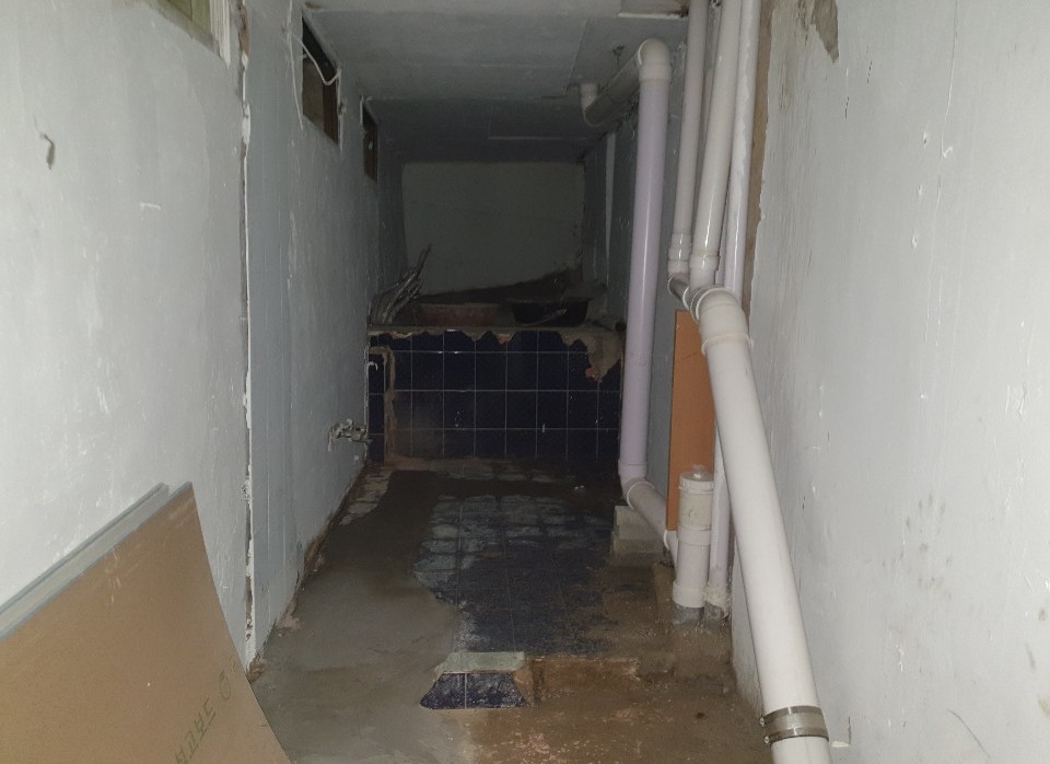 3695750758_anZULXY0_b029085f228413fefa57ccc5cebb27523b8cb4e7.jpeg 이미지크게보기