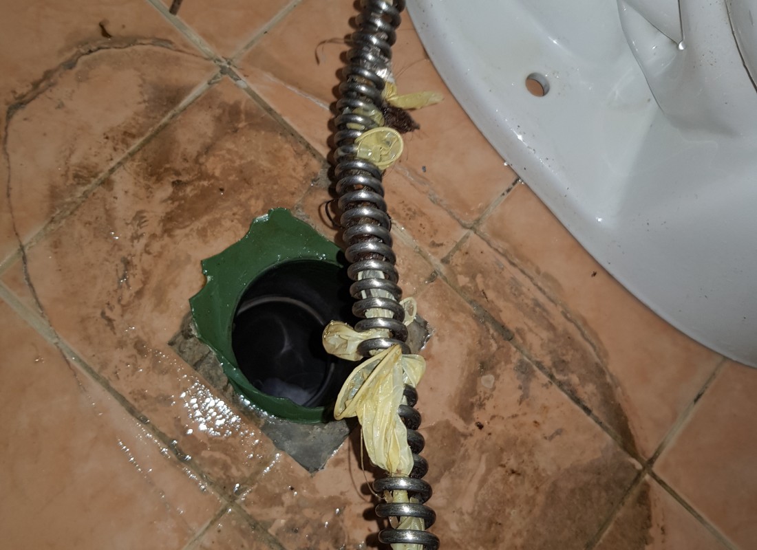 3695750758_ln6t7uQd_586a213722280befe5b650060344b1ef50bf1d9d.jpeg 이미지크게보기