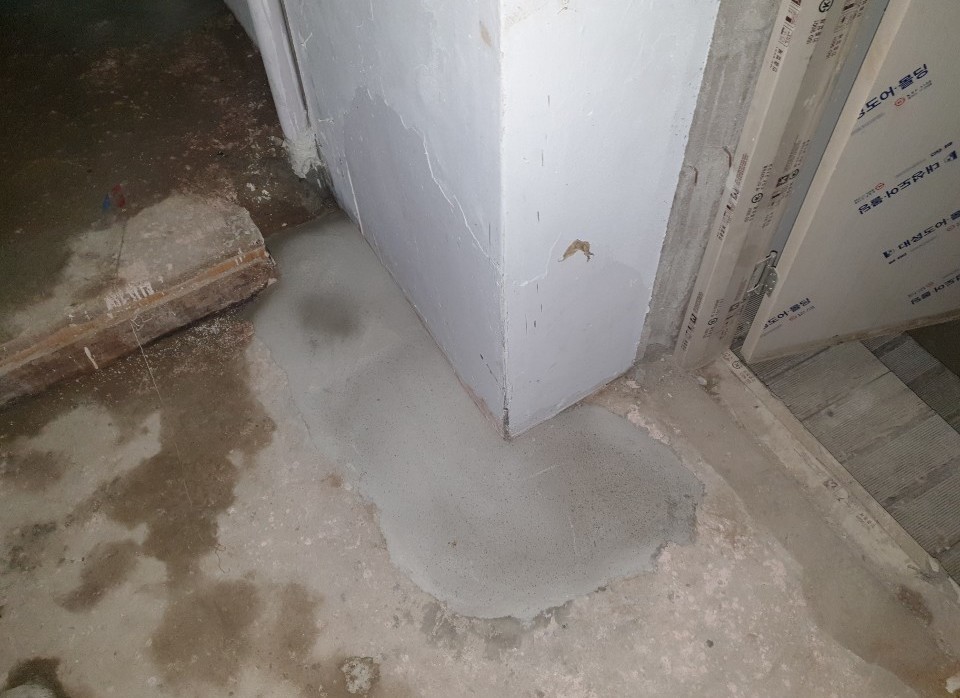 3695750758_qYJMWpzk_005237ed54f1d9af9ebf7d90c7fbb61c139d0d76.jpeg 이미지크게보기