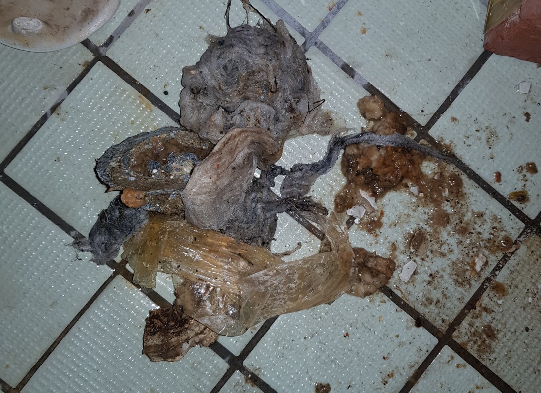 3695750758_rkj8vPMs_7fa776b1b936447f9bffd6ca30b4835cf958fc03.jpeg 이미지크게보기