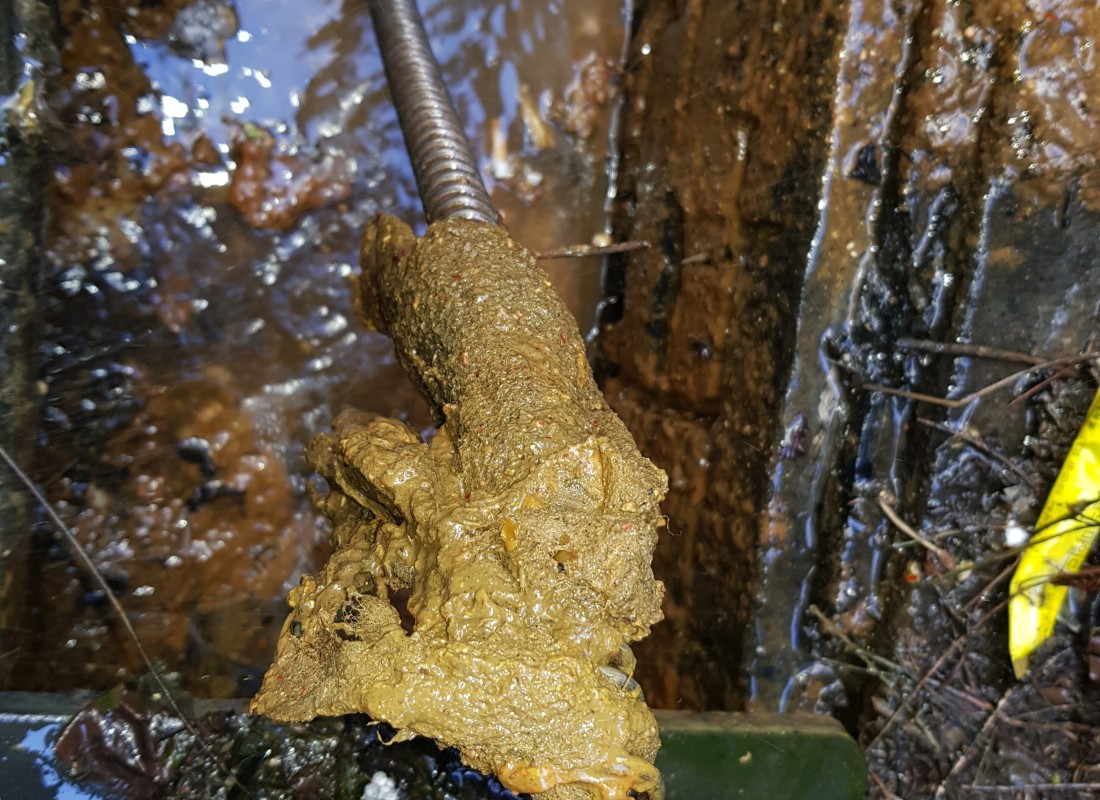 3695750758_w1dJs79O_5384de2d7b729a1ef23f58453f1614f7479319eb.jpeg 이미지크게보기