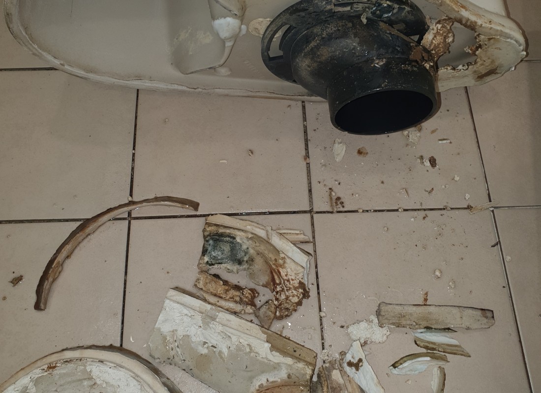 3695750758_2JjSvoeK_43f8ad91278ebd64d40d4394e4e9a21ad5b0c909.jpeg 이미지크게보기