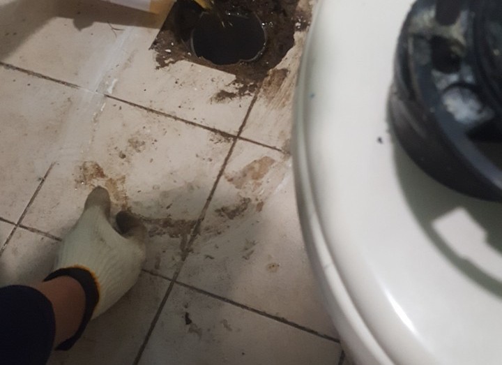 3695750758_9G4LThgN_ec528ebabbbee7c57973ba0b62eee6a297da9e58.jpeg 이미지크게보기