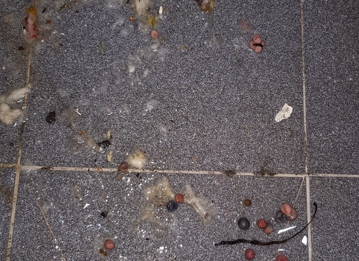 3695750758_F9TAn4YE_123db4d9f671db2336a88d256f8d5ce3a828e111.jpeg 이미지크게보기