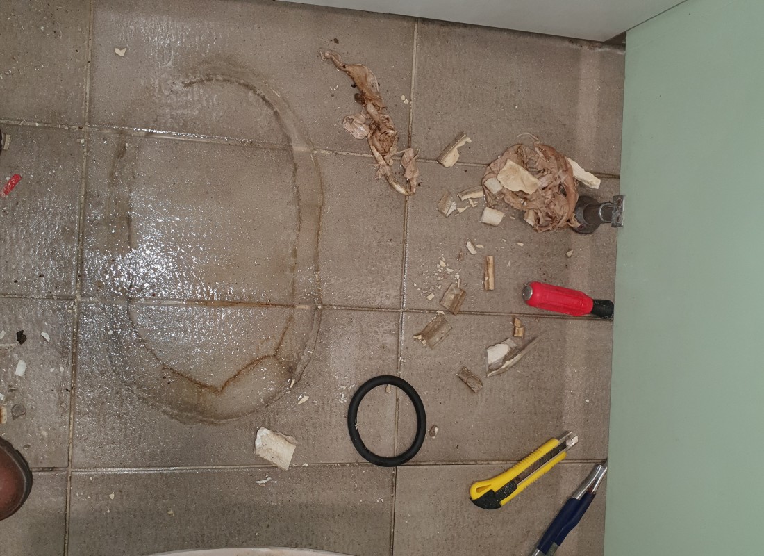 3695750758_M1FdKGs5_eae904f0ff885558932a4a4e6812dc4698306f69.jpeg 이미지크게보기