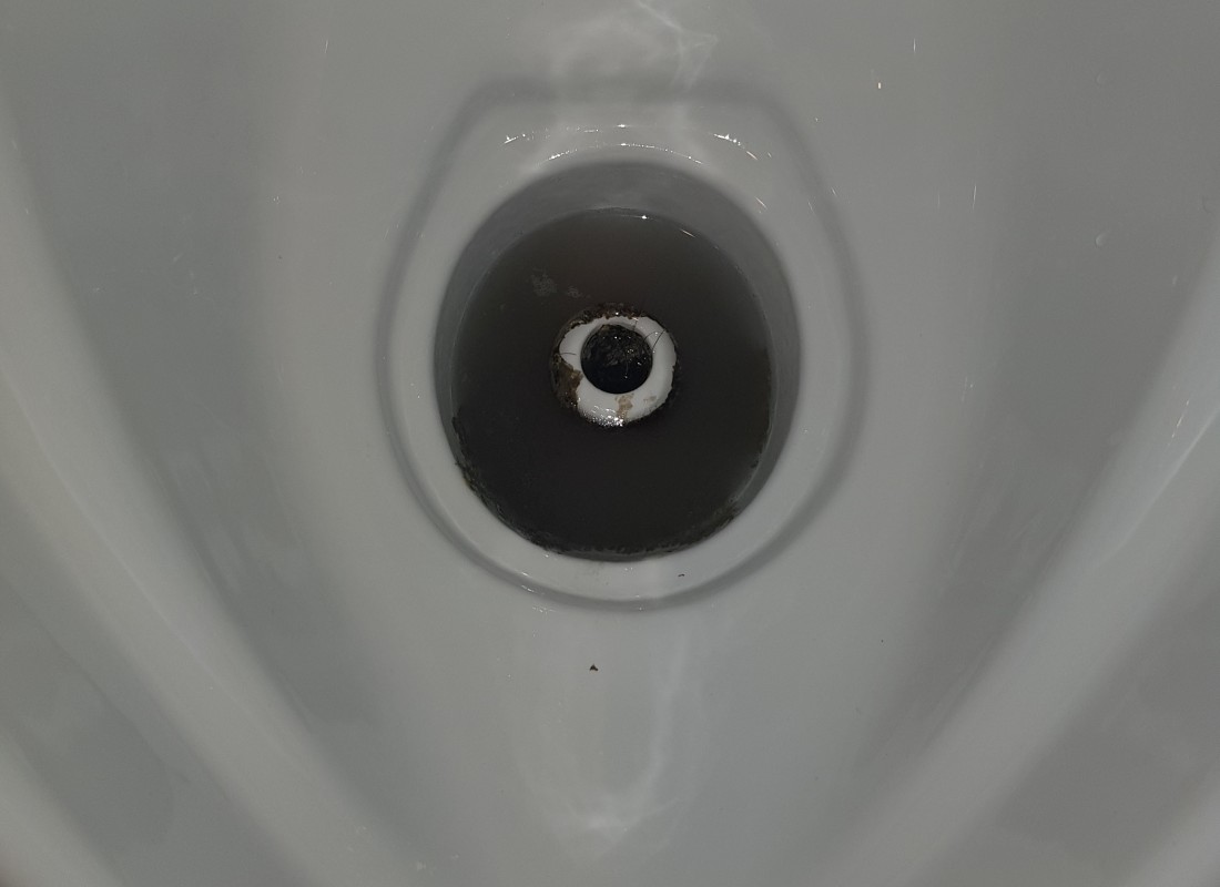 3695750758_NIEC4fk3_ffe6e7d2b7def6a3d024db68e700db0beb1b1685.jpeg 이미지크게보기