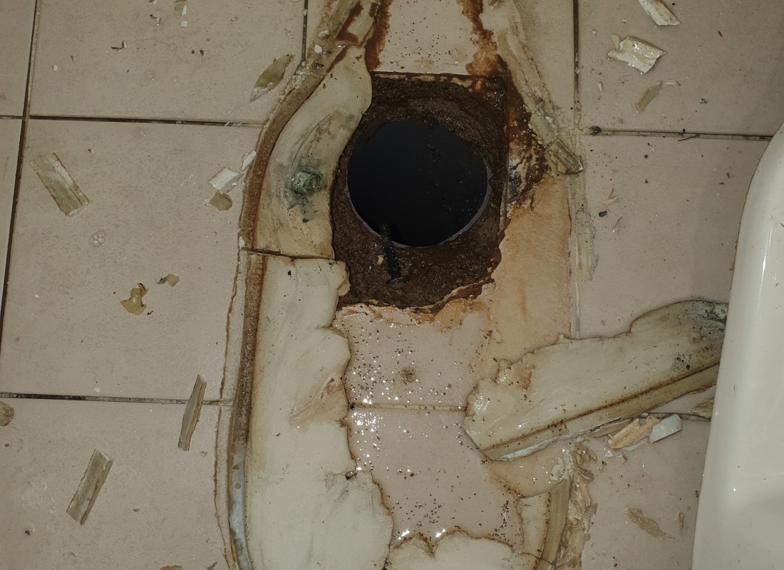 3695750758_NZXSKr6J_e369e9220c16090d4c6d91bdf8bf289de571f272.jpeg 이미지크게보기