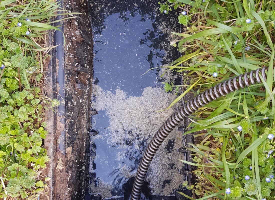 3695750758_SLN2X51Y_c73b5decd4b96d83cd4ed492faa3811ba63451e6.jpeg 이미지크게보기