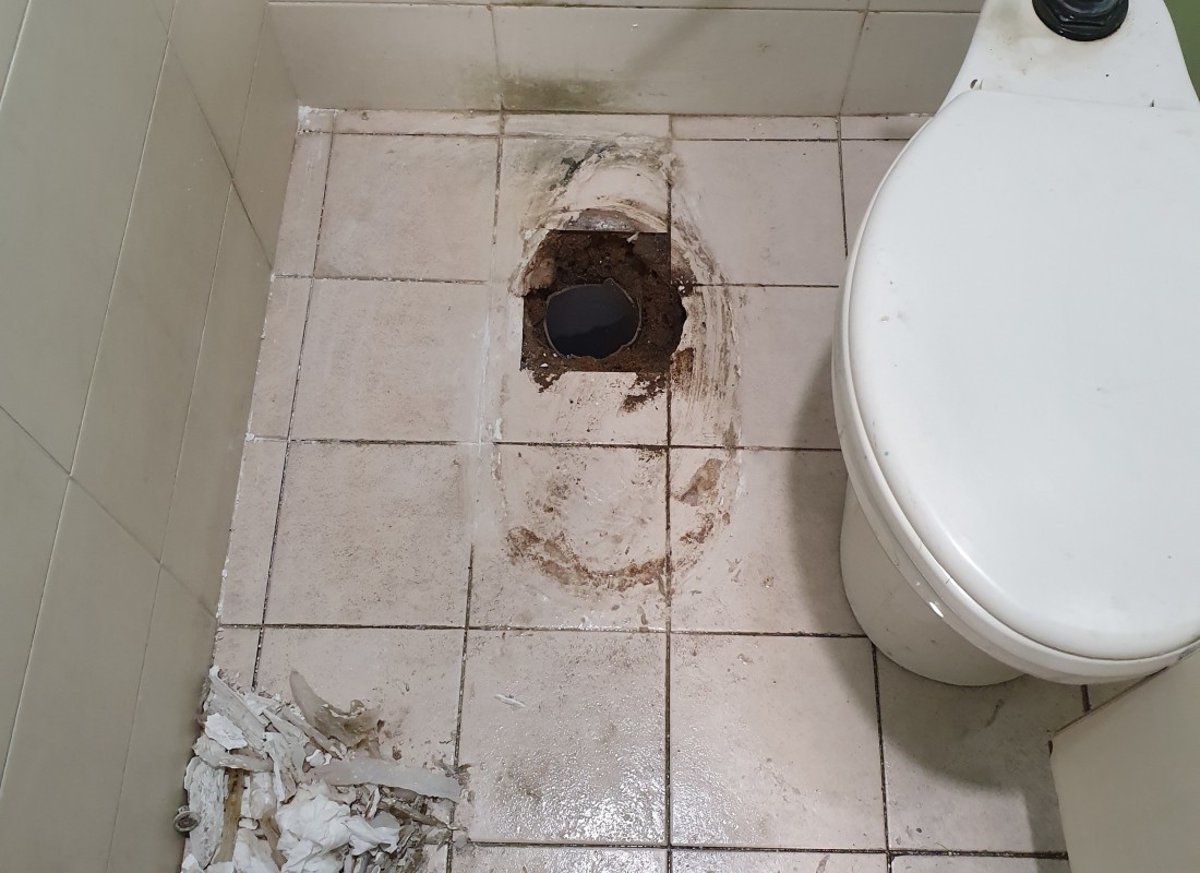 3695750758_T4pyG61w_f4e298450ef9635b718a4394f72a4a6004382afe.jpeg 이미지크게보기