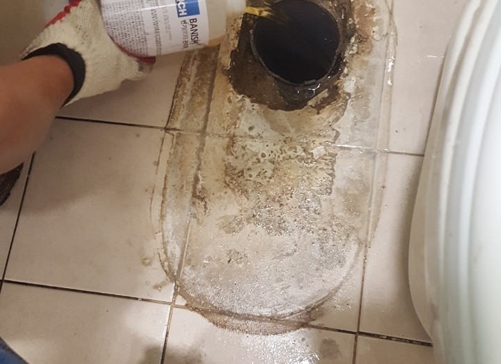 3695750758_U8lVmjEa_d68853aee56feb2f36e6849681c17e918bcc3875.jpeg 이미지크게보기