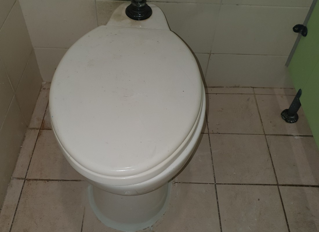 3695750758_UuWPNICd_99bda4aee27e24a0cfecd2cb8f231b686ab5dd29.jpeg 이미지크게보기