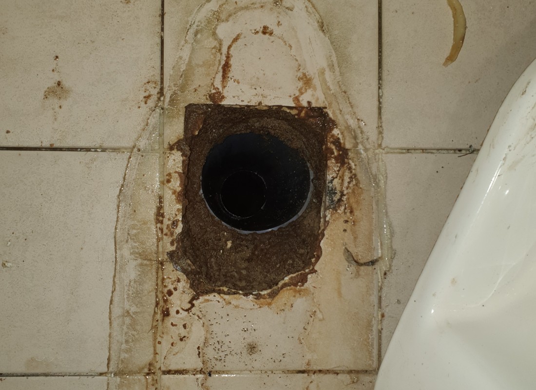 3695750758_b82LtVZE_5ded3b97d538ca8b27dd51fe1e2300f9ecd4eede.jpeg 이미지크게보기