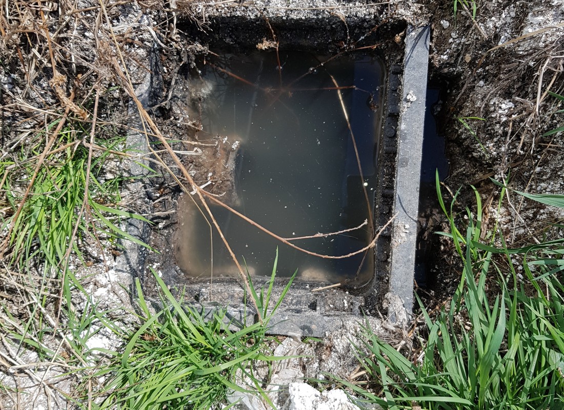 3695750758_hEaOCd4M_c488884e2081a07083fc1362dc469297ccaab390.jpeg 이미지크게보기