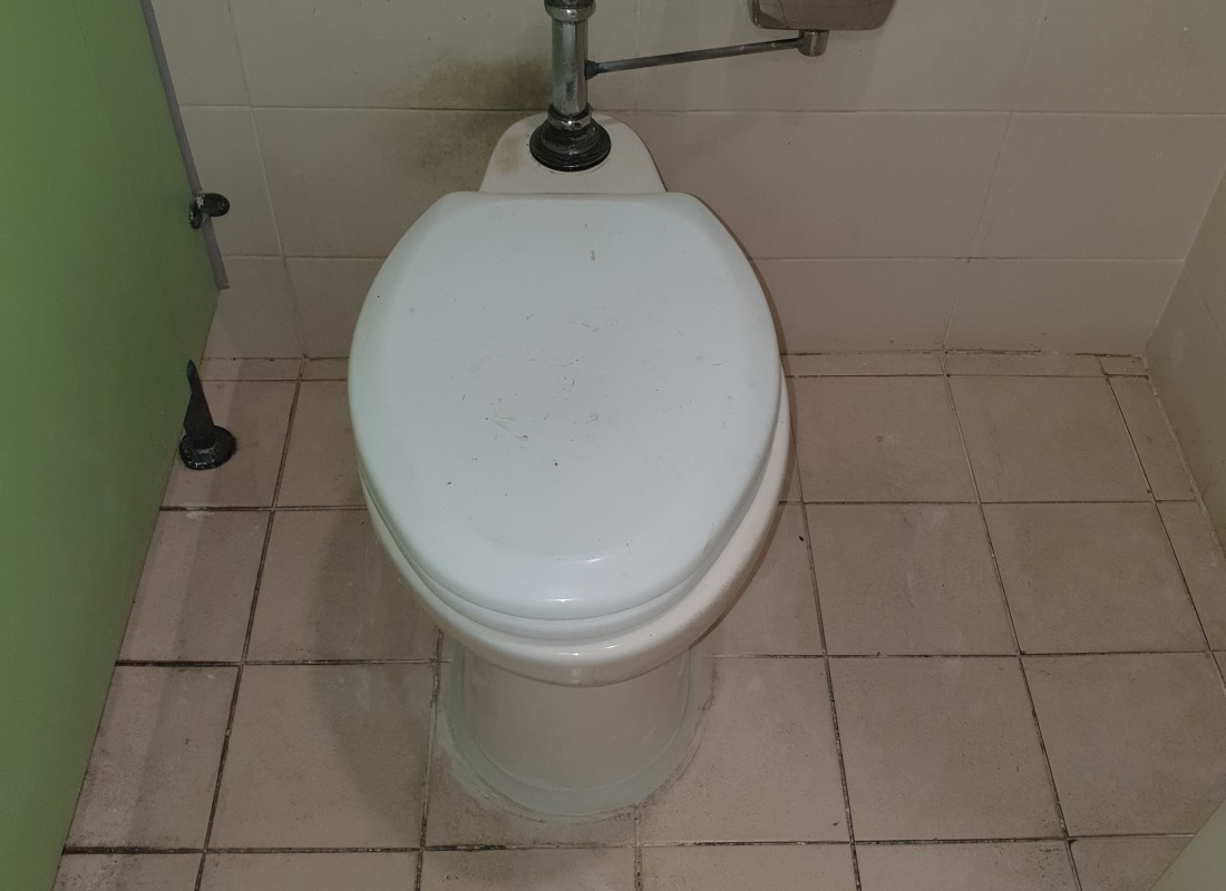 3695750758_hKuiym6C_30a8c5fb46af7a52160f0473d53bbd10295d1c3b.jpeg 이미지크게보기