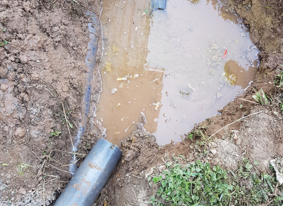 3695750758_mYgvuMVR_4c7dc647b55677e1226b2a04acbc0cc3af31c880.jpeg 이미지크게보기