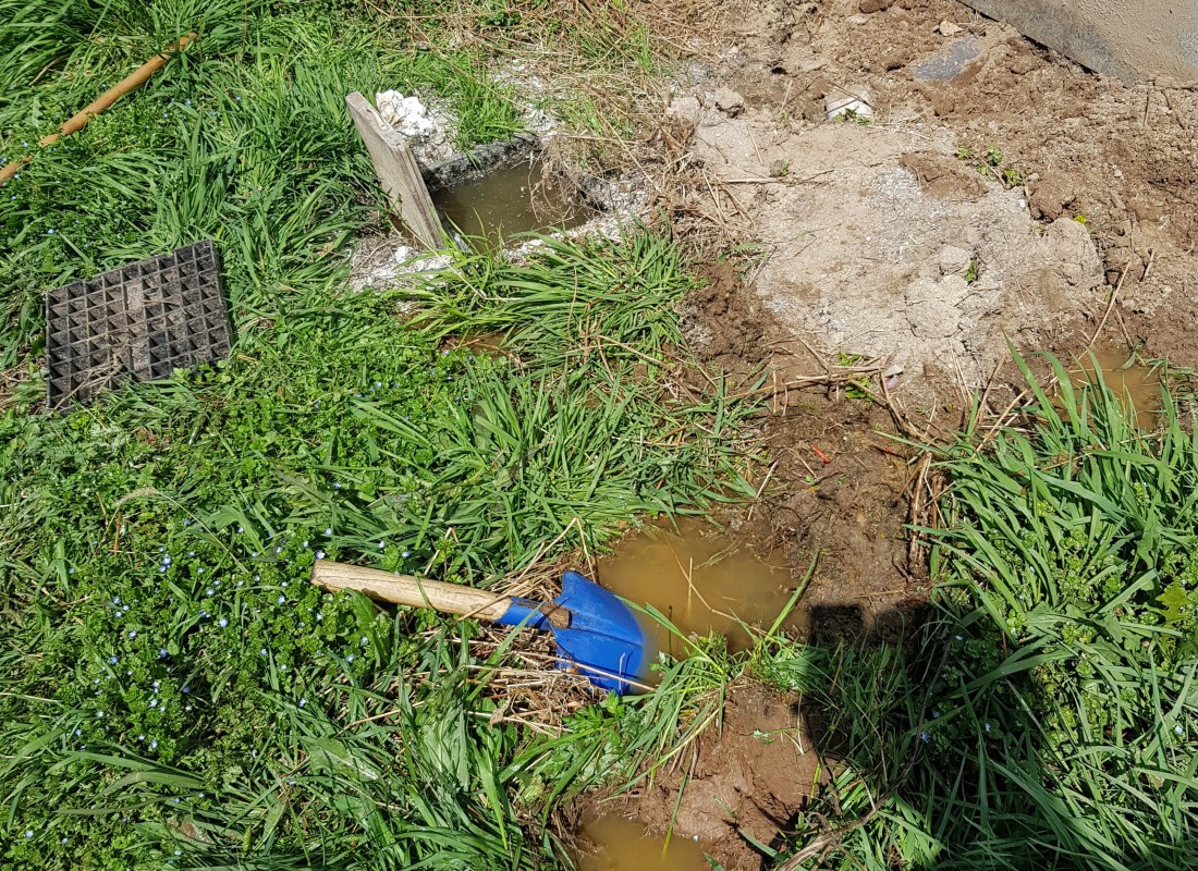 3695750758_n69GvMd1_95087f0e0a1d08081ad0c7dc9d751f6d9a4932f8.jpeg 이미지크게보기