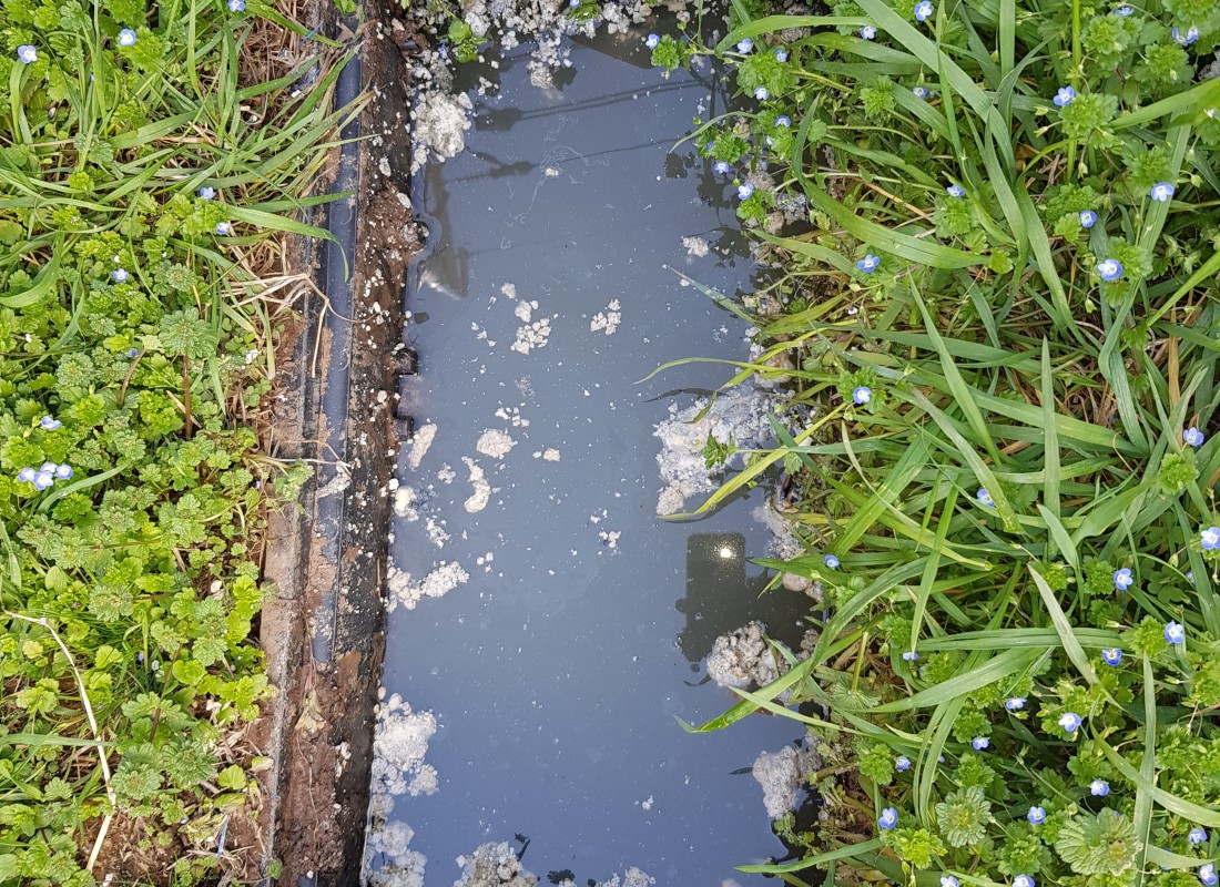 3695750758_o4qIXhzL_99c3606a949c78d172f92116c8ebcfc81dcf90d8.jpeg 이미지크게보기