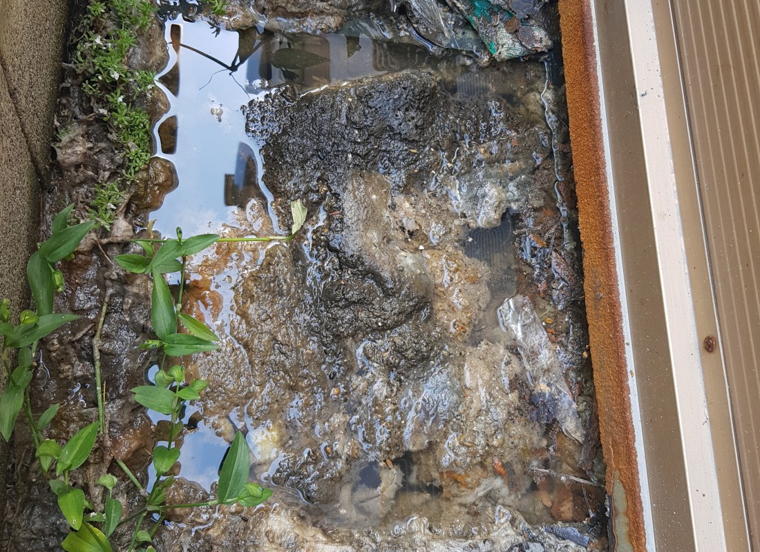 3695750758_pFCnbhu5_b9f841c5fe0373dee2b9ba051b9f99a14d41f25e.jpeg 이미지크게보기