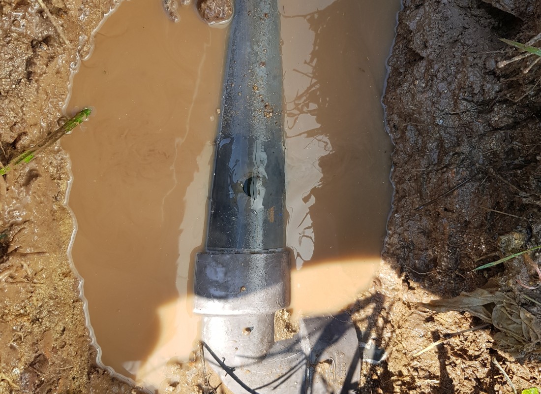 3695750758_qejJuMU9_dabd804beca8ce25439d5100d8ebf50d90adbeb0.jpeg 이미지크게보기