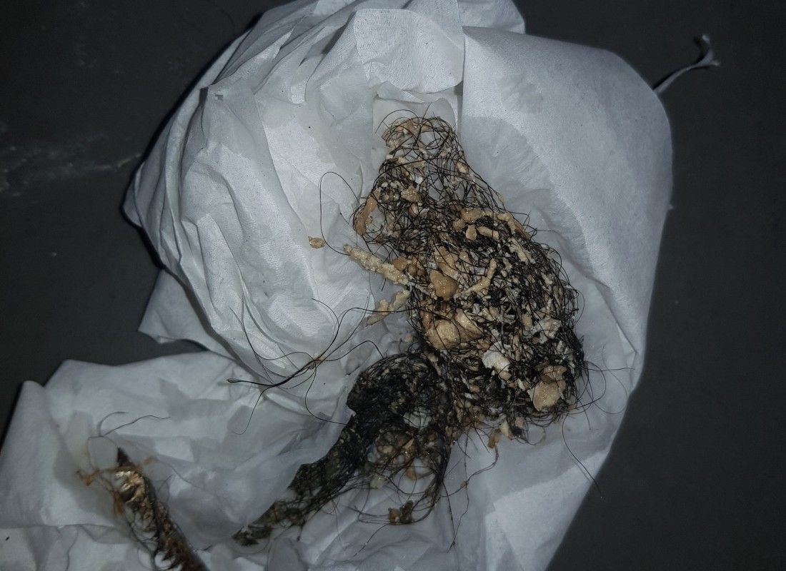 3695750758_rLPpTuWi_4c88383d0bf948ba935d6b7e8fd2483f51ab2dd3.jpeg 이미지크게보기