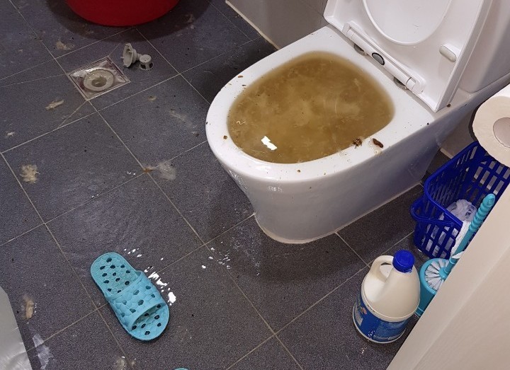 3695750758_x4fkjth8_7b49f12c39a68c552b432a83b8d4c8b02b91776c.jpeg 이미지크게보기