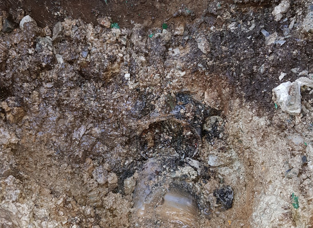 3695750758_WBtwD4nX_4ab43b5deec25bcc8cdfe960ae0074bdadc1e009.jpeg 이미지크게보기